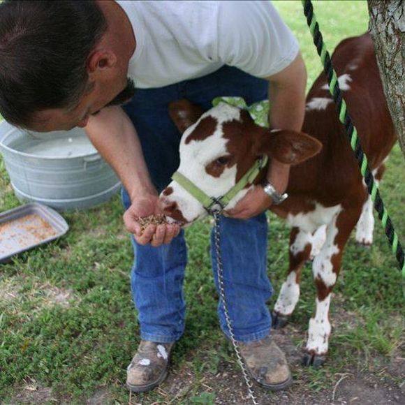 Meet your Posher, Ezstreet - Picture 1 of 1